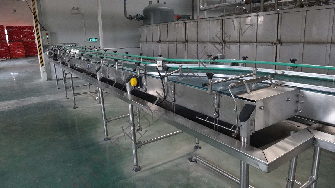 Automatic Transmission Assembly Line Conveyor