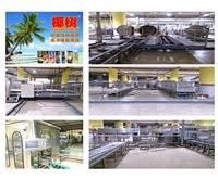 Coconut palm Group-Coconut juice production line
