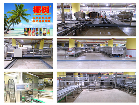 Coconut palm Group-Coconut juice production line